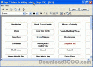 Page Of Labels for Mailing Labels screenshot